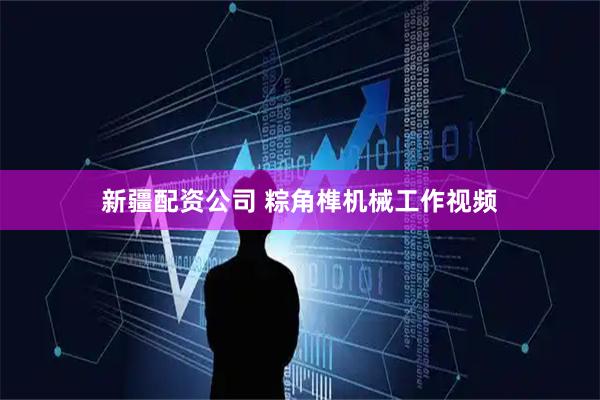 新疆配资公司 粽角榫机械工作视频
